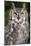 Montana Great Horned Owl Adult-null-Mounted Photographic Print