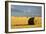 Montana Hay Bales-Jason Savage-Framed Art Print