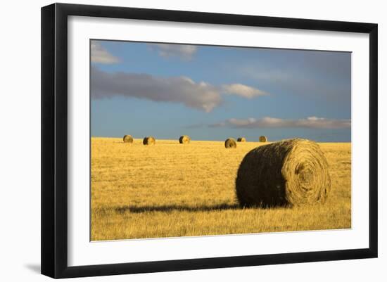 Montana Hay Bales-Jason Savage-Framed Art Print