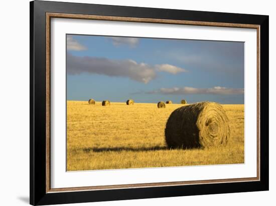 Montana Hay Bales-Jason Savage-Framed Art Print