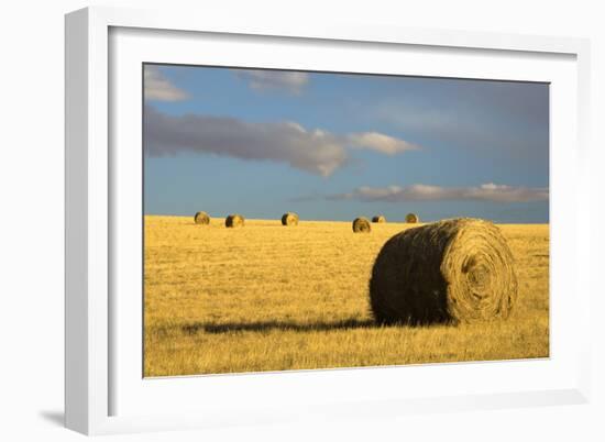 Montana Hay Bales-Jason Savage-Framed Art Print