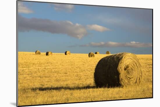 Montana Hay Bales-Jason Savage-Mounted Art Print