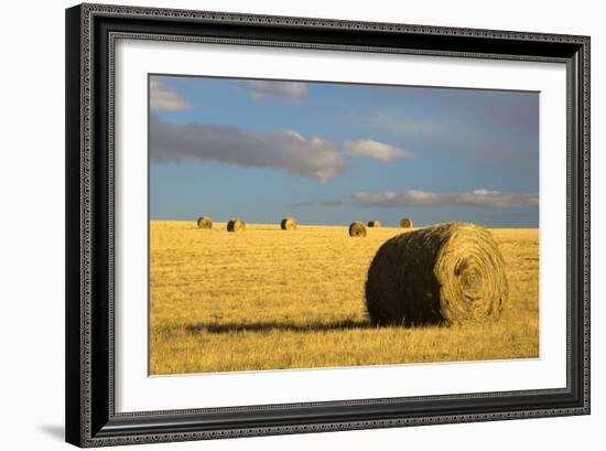 Montana Hay Bales-Jason Savage-Framed Art Print