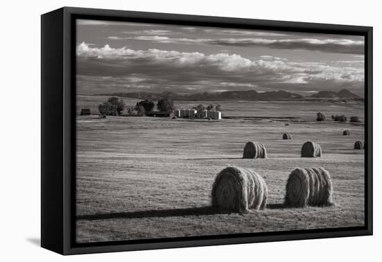 Montana Hay Bales-Alan Majchrowicz-Framed Premier Image Canvas