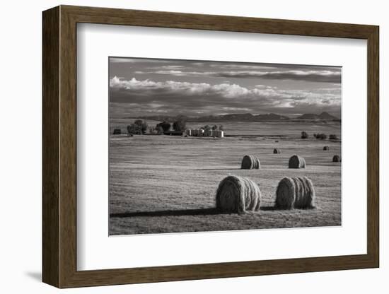 Montana Hay Bales-Alan Majchrowicz-Framed Photographic Print