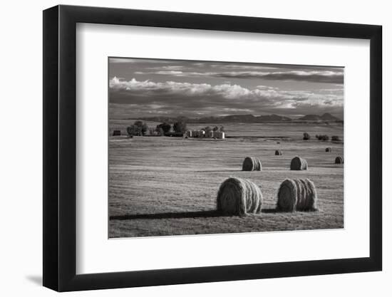 Montana Hay Bales-Alan Majchrowicz-Framed Photographic Print