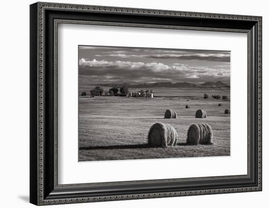 Montana Hay Bales-Alan Majchrowicz-Framed Photographic Print