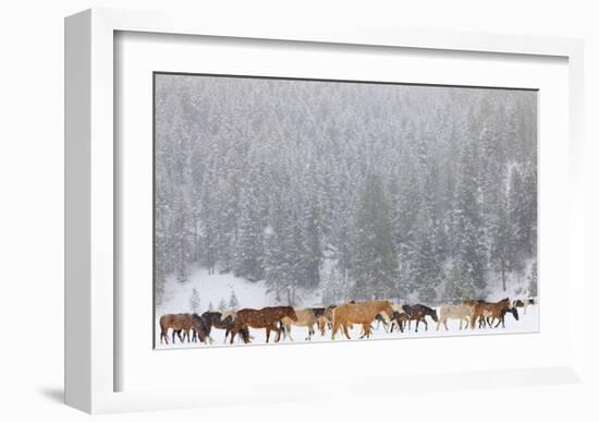 Montana Horses-Jason Savage-Framed Art Print
