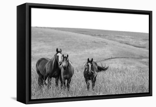 Montana Moves v2-Nathan Larson-Framed Premier Image Canvas