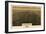 Montana - Panoramic Map of Billings-Lantern Press-Framed Art Print