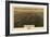 Montana - Panoramic Map of Billings-Lantern Press-Framed Art Print