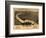 Montana - Panoramic Map of Great Falls-Lantern Press-Framed Art Print