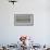 Montana, Red Rock Lakes Nwr, Franklyns Gulls and One Foresters Tern-Elizabeth Boehm-Framed Photographic Print displayed on a wall