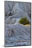 Montana. the Erosion Bed Badlands of Makoshika State Park-Judith Zimmerman-Mounted Photographic Print