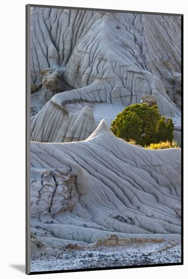 Montana. the Erosion Bed Badlands of Makoshika State Park-Judith Zimmerman-Mounted Photographic Print