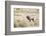 Montana, Yellowstone National Park, Bull Elk Bugling in Rabbitbrush Meadow-Elizabeth Boehm-Framed Photographic Print