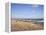 Montauk Point State Park, Montauk, Long Island, New York, United States of America, North America-Wendy Connett-Framed Premier Image Canvas