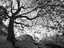 Archway & Path, Nasville, Tennessee ‘10-Monte Nagler-Photographic Print