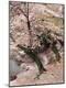 Premium Photographic Print