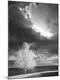 Photographic Print