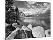 Photographic Print