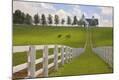 Photographic Print