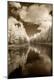 Photographic Print