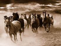 Running Horses-Monte Nagler-Photo