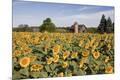 Premium Photographic Print