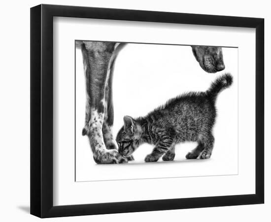 Photographic Print, , large