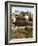 Montecatini Alto, Tuscany, Italy, Europe-Oliviero Olivieri-Framed Photographic Print