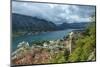 Montenegro, Kotor. Cruise ship in city harbor.-Jaynes Gallery-Mounted Photographic Print