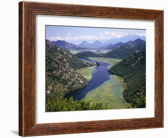 Montenegro, Skutari Lake, Vegetation, Waterlilies, Overview-Thonig-Framed Photographic Print