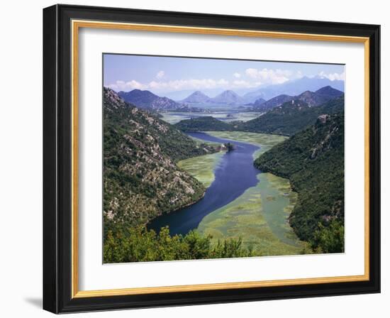 Montenegro, Skutari Lake, Vegetation, Waterlilies, Overview-Thonig-Framed Photographic Print