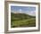 Montepulciano, Val D'Orcia, Siena Province, Tuscany, Italy, Europe-Pitamitz Sergio-Framed Photographic Print