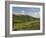 Montepulciano, Val D'Orcia, Siena Province, Tuscany, Italy, Europe-Pitamitz Sergio-Framed Photographic Print