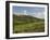 Montepulciano, Val D'Orcia, Siena Province, Tuscany, Italy, Europe-Pitamitz Sergio-Framed Photographic Print