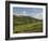 Montepulciano, Val D'Orcia, Siena Province, Tuscany, Italy, Europe-Pitamitz Sergio-Framed Photographic Print