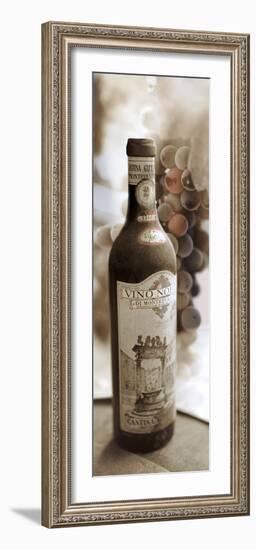 Montepulciano Vineyard #1-Alan Blaustein-Framed Photographic Print