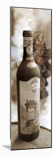 Montepulciano Vineyard #1-Alan Blaustein-Mounted Photographic Print