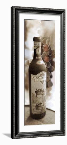 Montepulciano Vineyard #1-Alan Blaustein-Framed Photographic Print