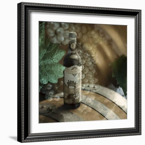 Montepulciano Vineyard #2-Alan Blaustein-Framed Photographic Print