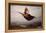 Monter Sur Un Tapis Volant (Riding a Flying Carpet) - Peinture De Viktor Mikhaylovich Vasnetsov (18-Victor Mikhailovich Vasnetsov-Framed Premier Image Canvas