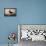 Monter Sur Un Tapis Volant (Riding a Flying Carpet) - Peinture De Viktor Mikhaylovich Vasnetsov (18-Victor Mikhailovich Vasnetsov-Mounted Giclee Print displayed on a wall