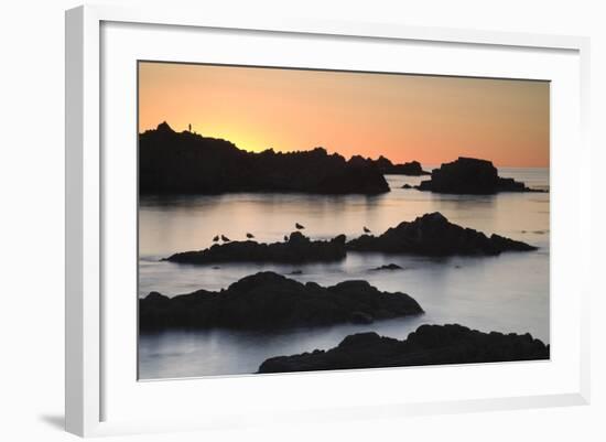 Monterey_3-67-Moises Levy-Framed Photographic Print