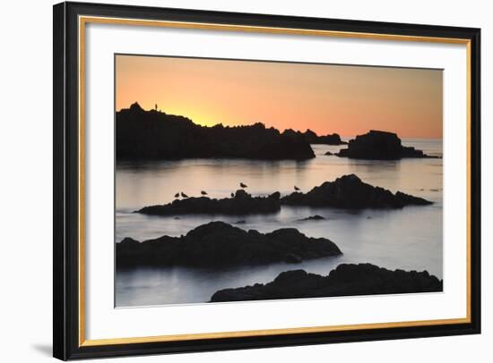 Monterey_3-67-Moises Levy-Framed Photographic Print