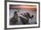 Monterey (97)-Moises Levy-Framed Photographic Print