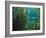 Monterey Bay Aquarium, Cannery Row, Monterey, Central California Coast, USA-Stuart Westmorland-Framed Photographic Print