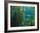 Monterey Bay Aquarium, Cannery Row, Monterey, Central California Coast, USA-Stuart Westmorland-Framed Photographic Print