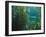 Monterey Bay Aquarium, Cannery Row, Monterey, Central California Coast, USA-Stuart Westmorland-Framed Photographic Print